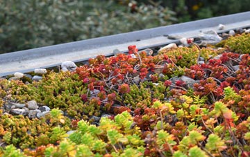 the cost of Lower Fittleworth green roof installation